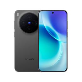 Vivo X300